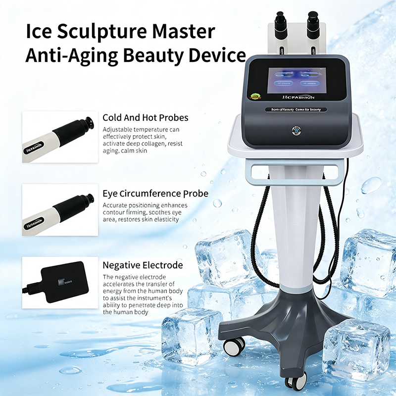 Ice Sculpture Master RF Facial - Master Nutrition & Fitness Club Kuchaman City Reviews review and price